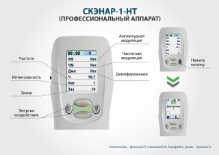 СКЭНАР-1-НТ (исполнение 01)  в Гатчине купить Скэнар официальный сайт - denasvertebra.ru 
