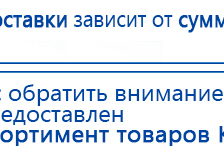 СКЭНАР-1-НТ (исполнение 02.2) Скэнар Оптима купить в Гатчине, Аппараты Скэнар купить в Гатчине, Скэнар официальный сайт - denasvertebra.ru