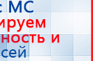 СКЭНАР-1-НТ (исполнение 01 VO) Скэнар Мастер купить в Гатчине, Аппараты Скэнар купить в Гатчине, Скэнар официальный сайт - denasvertebra.ru