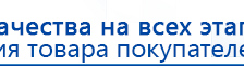 СКЭНАР-1-НТ (исполнение 01)  купить в Гатчине, Аппараты Скэнар купить в Гатчине, Скэнар официальный сайт - denasvertebra.ru